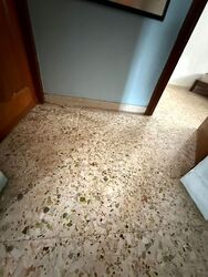 Blk 52 Kent Ville (Kallang/Whampoa), HDB 4 Rooms #488449201